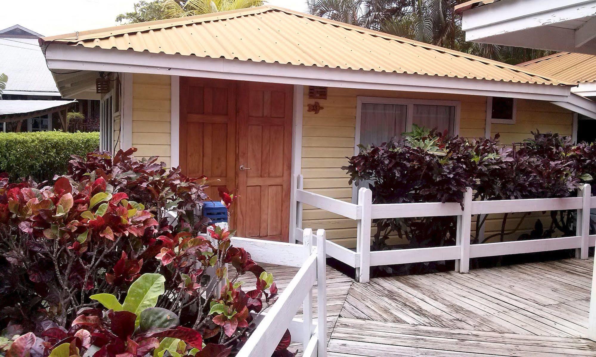 Las Palmas Beach Hotel Dixon Cove Exterior photo